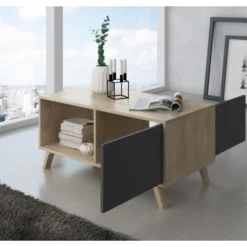 Skraut Home - Tavolino Con Porte, Sala Da Pranzo, Modello WIND, Colore Struttura Puccini, Colore Porte Grigio Antracite, Misure 92x50x45cm Di Altezza. -Negozio al dettaglio VIDAXL || HOMCOM || Songmics 17391730 3