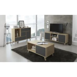 Skraut Home - Tavolino Con Porte, Sala Da Pranzo, Modello WIND, Colore Struttura Puccini, Colore Porte Grigio Antracite, Misure 92x50x45cm Di Altezza. -Negozio al dettaglio VIDAXL || HOMCOM || Songmics 17391730 4